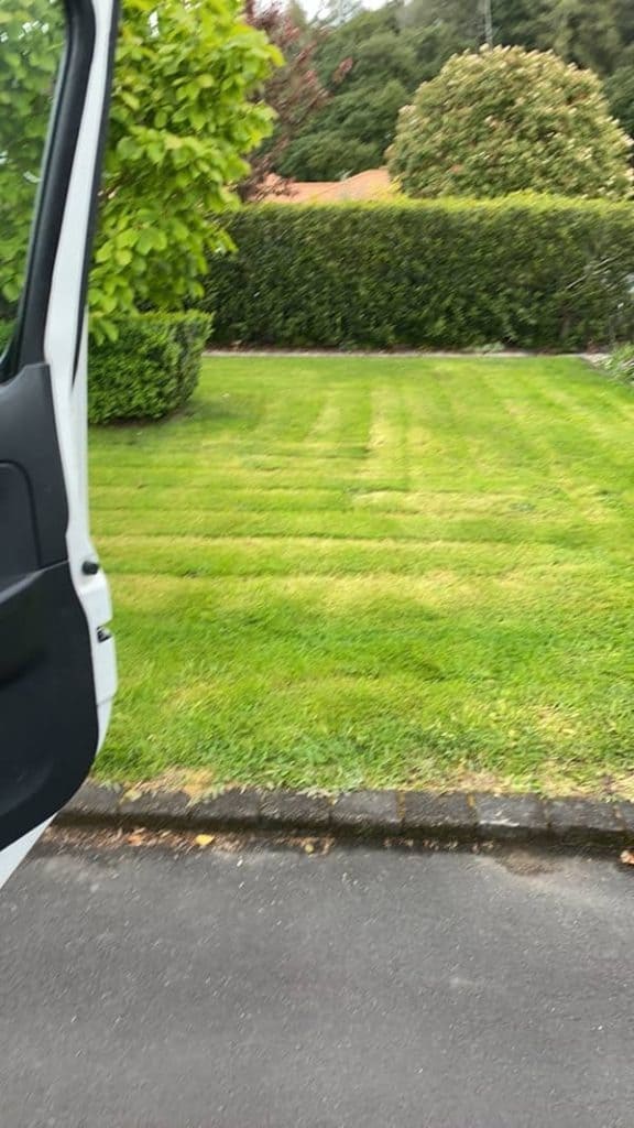 A lawn with ruts