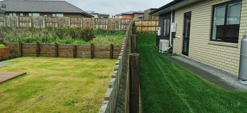 Two new lawns. The one on the left is cut wrong (too short) and the one on the right is correct.
