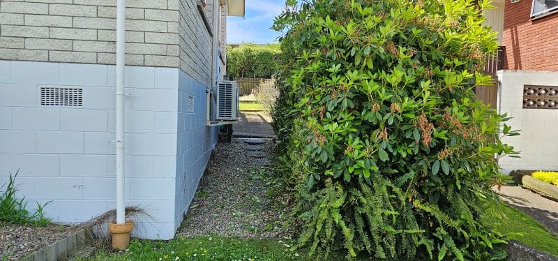 Hedge kept back using a trimmer