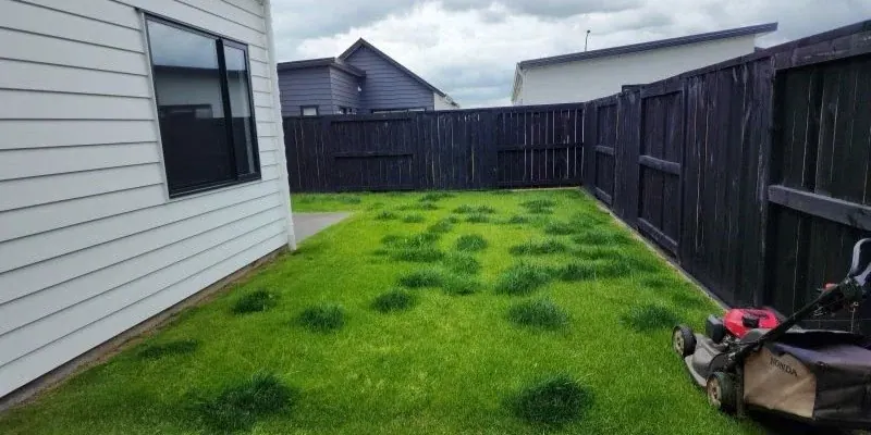 A lawn growing at different rates 1
