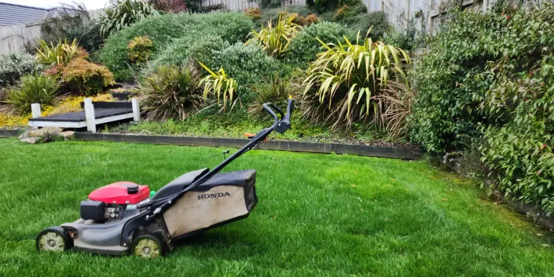 A lush lawn and landscaping