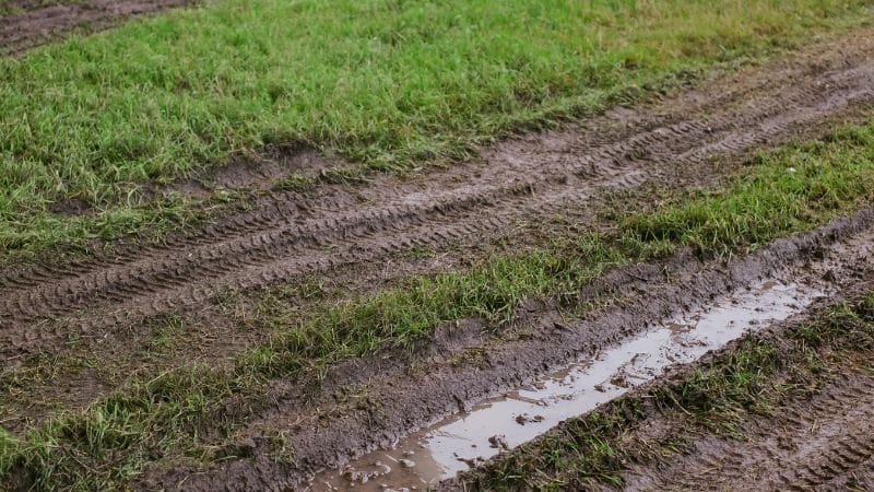 Tyre ruts full of water in a muddy grass area