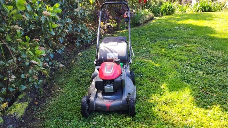 Honda mower on a freshly cut lawn beside a garden bed