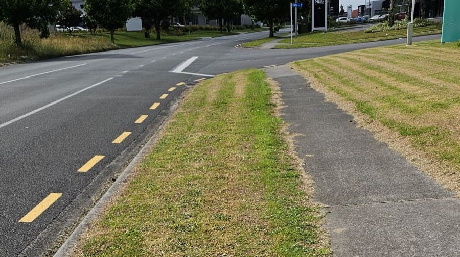 Scalped damaged lawn cut too short