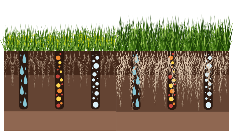 Illustration how aeration works 
