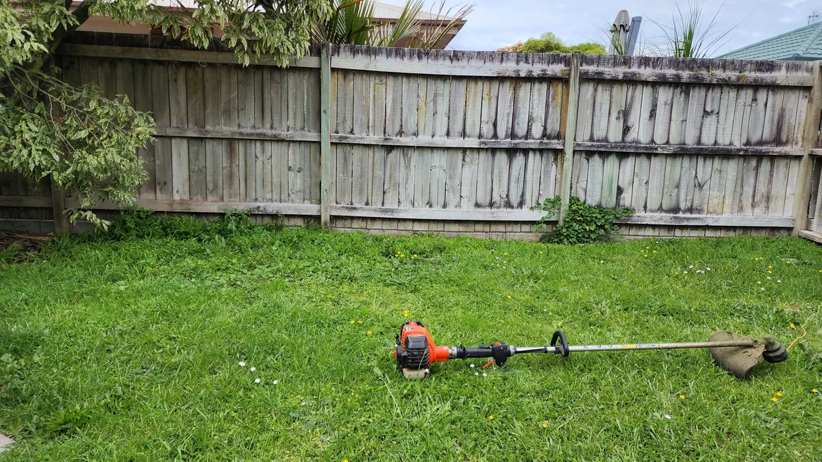 Line trimmer laid on a freshly cut back lawn