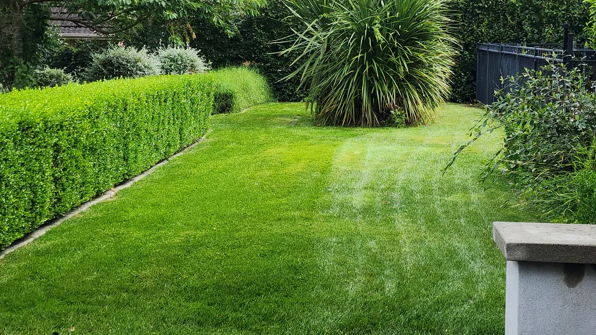 Striped lawn after a mow