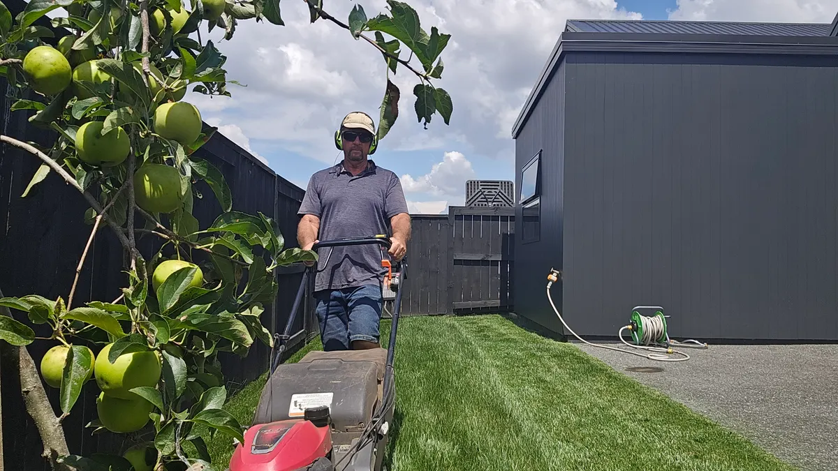 Mowing a back lawn under fruit trees