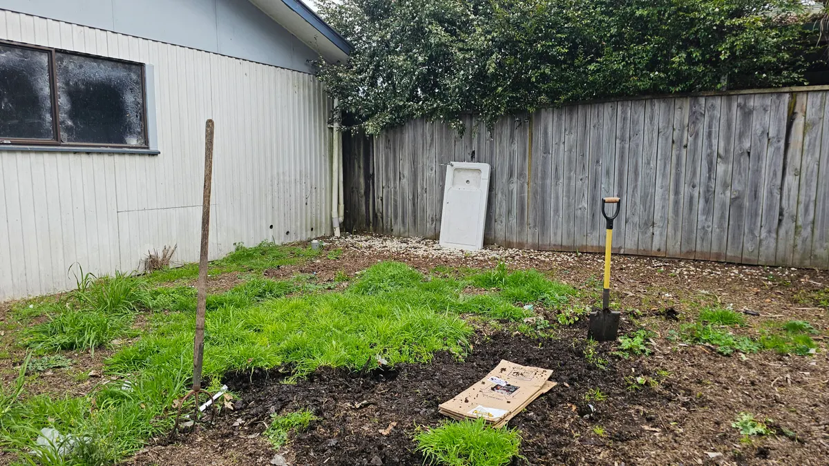 Patchy new lawn area next to a garden bed