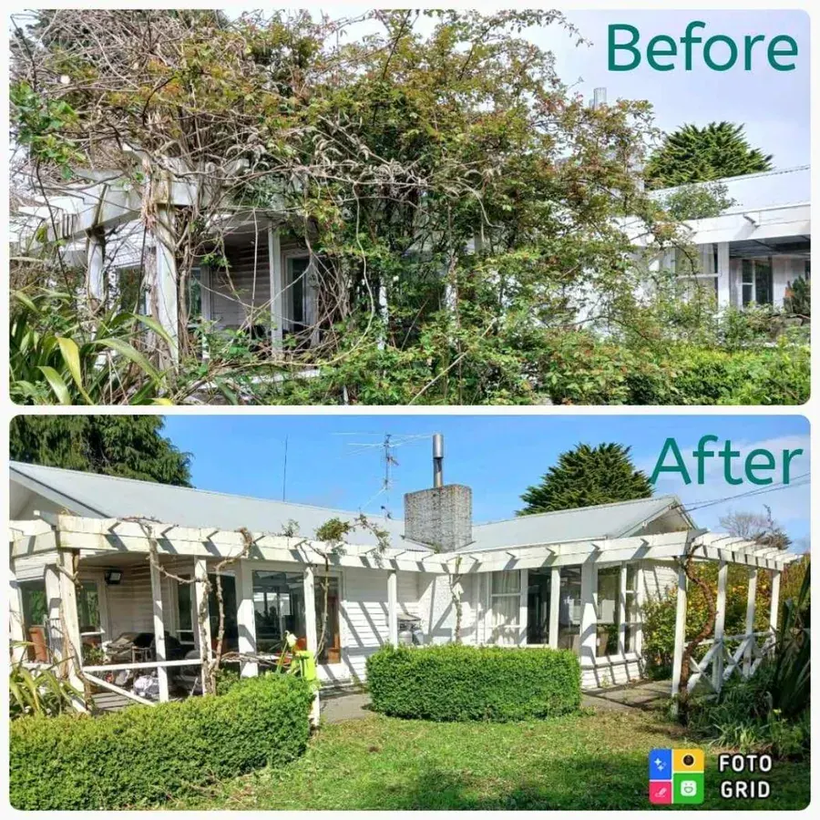 Before and after photos of a house buried in overgrown climbers and shrubs, then cut back with clipped hedges and a mown lawn