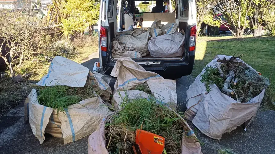 Full green waste bags of weeds, grass and branches on a driveway behind a work van loaded with more bags