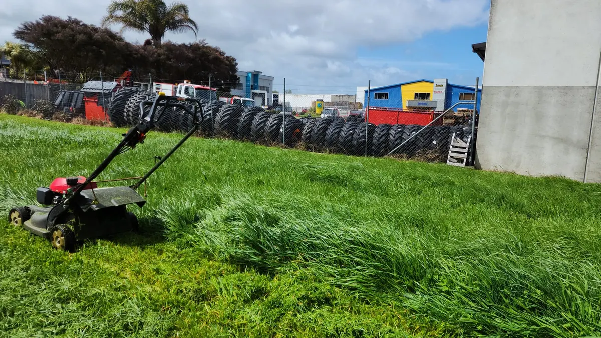 A Honda push mower cutting a strip through very long grass beside a tyre yard in an industrial area