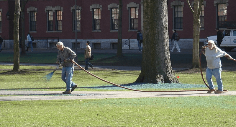 Can You Hydroseed Over an Existing Lawn? Let’s Find Out.