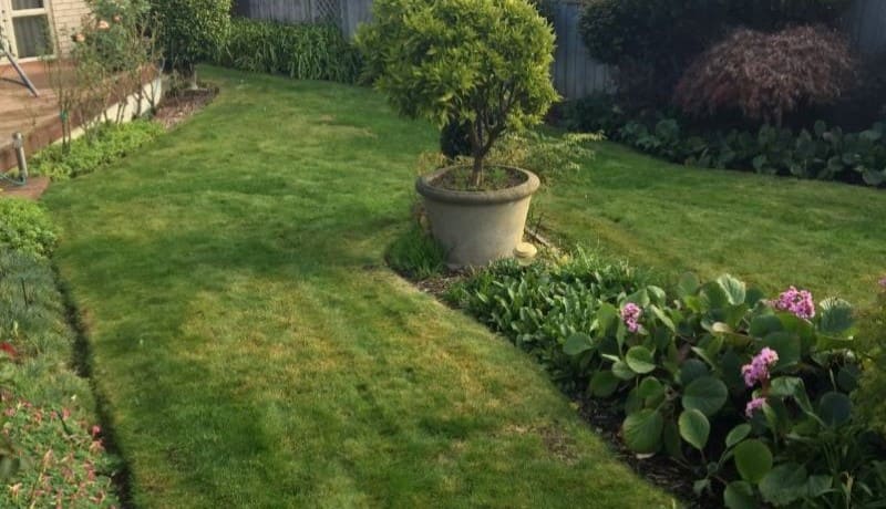 Why Your Lawn Is Growing at Different Rates.