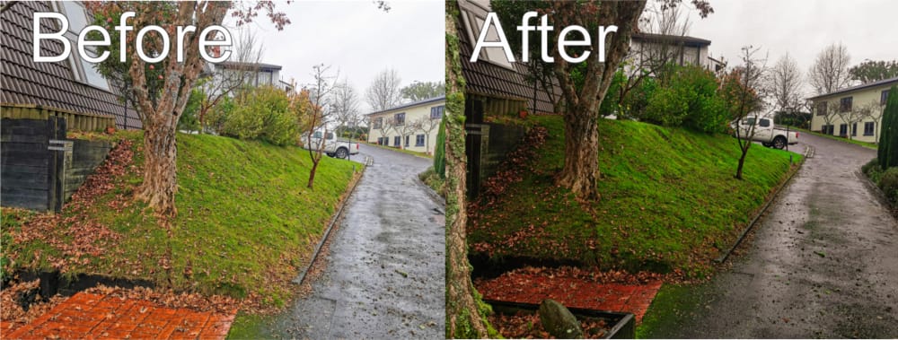 Before and after photo of a slope done with a string trimmer