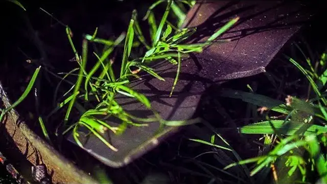 Are Lawn Mower Blades Universal? A Clear Explanation