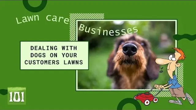 Dealing with Dogs on Lawns: Lawn Care Business Tips