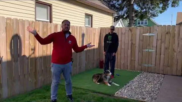 Is Dog Poop Good for a Lawn?