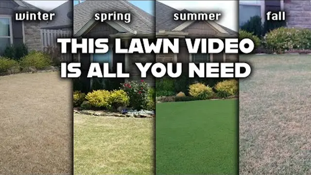Lawn Care vs Landscaping: What’s the Difference?