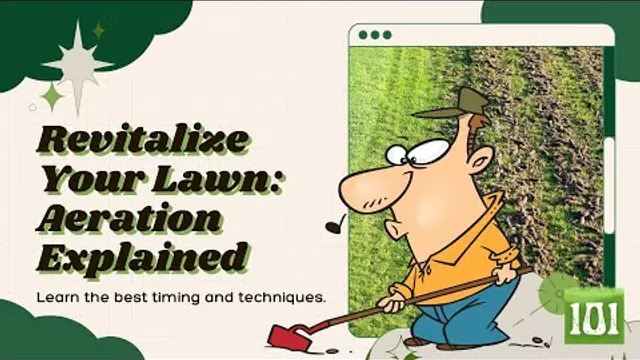When to Aerate Your Lawn: The Best Time
