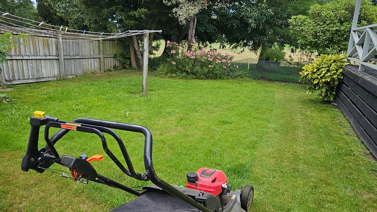 Honda mower on a thick spring lawn