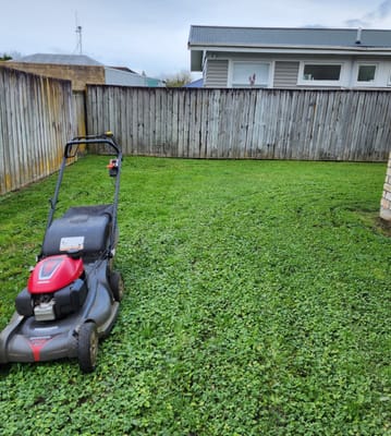 Mower on a spring lawn Mower in a backyard in spring