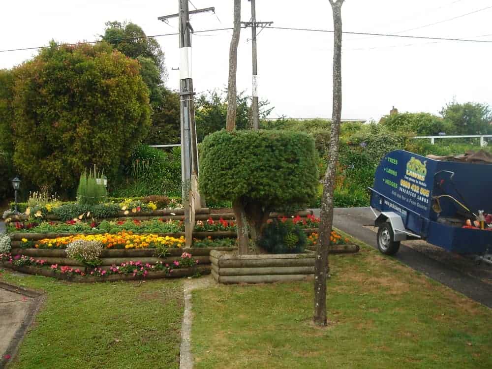 Gecko Lawns in the early days